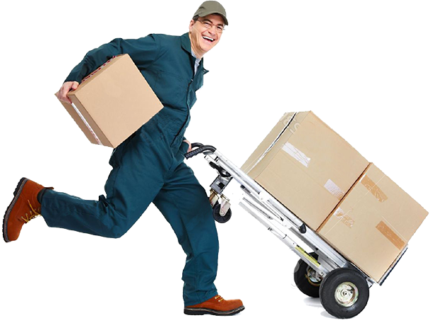 بازپس گیری محصولات تراست